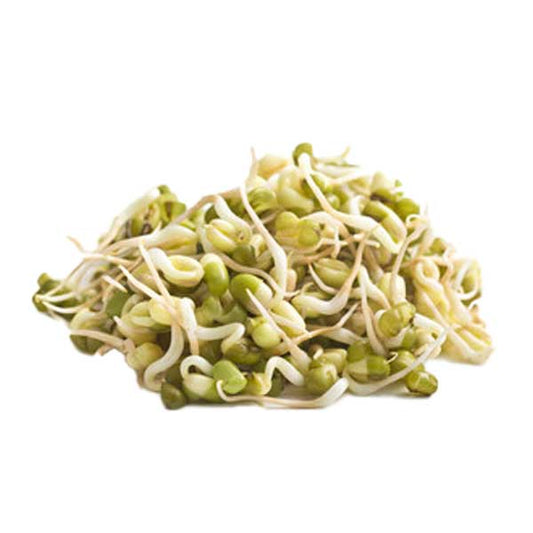 Bean Sprout Box @SaveCo Online Ltd
