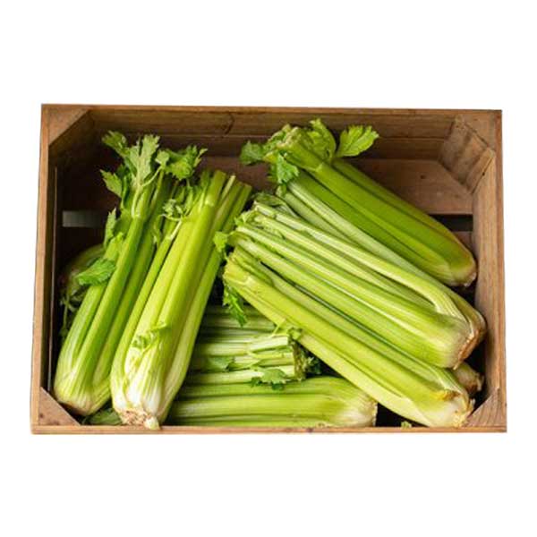 Celery Box @SaveCo Online Ltd
