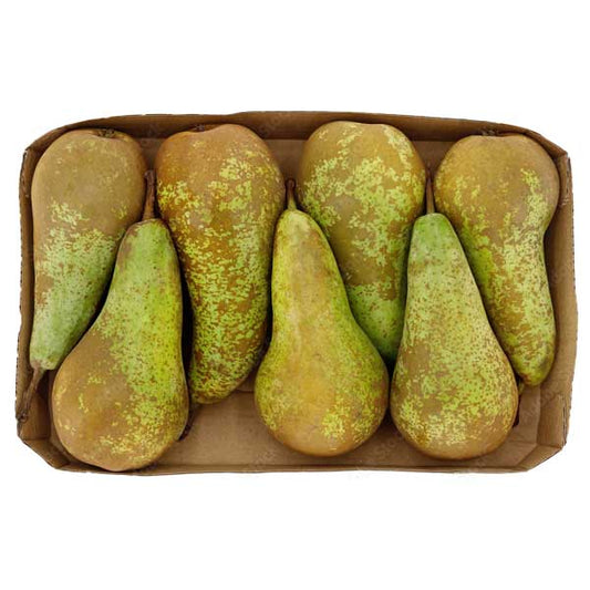 Conference Pear Box @SaveCo Online Ltd