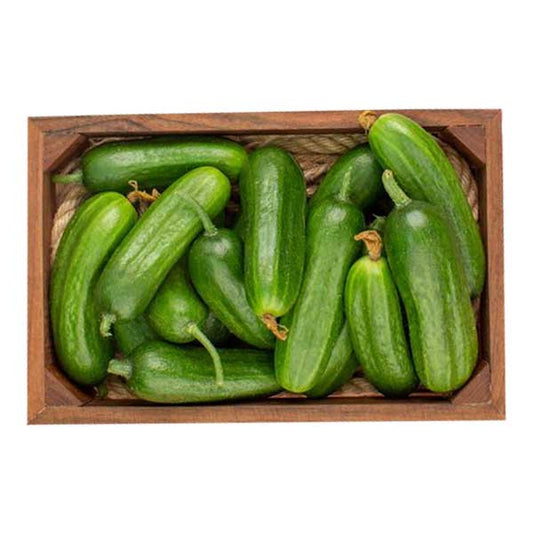 Fresh Cucumber Box @SaveCo Online Ltd
