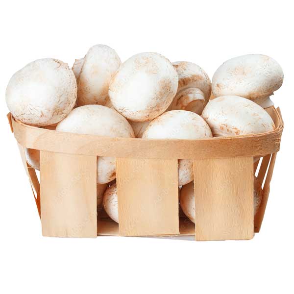 Fresh Mushroom Box @SaveCo Online Ltd